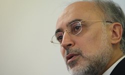 صالحي: اگر برجام بههم بخورد برهمزنندگان آن را حيرت زده خواهيم کرد